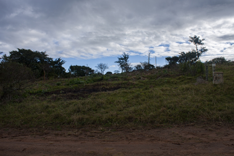 0 Bedroom Property for Sale in Bathurst Eastern Cape